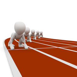 KAIYUN 中国大陆-中小学体育教师职业成长路径研究，中小学体育教师现状