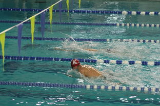 KAIYUNAPP-亚洲游泳锦标赛中国勇夺多金，亚洲游泳联合会官方网