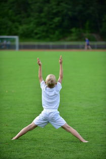 kaiyun官方入口登录-高校体育运动训练强度调控与效果研究，高校体育运动训练强度调控与效果研究论文